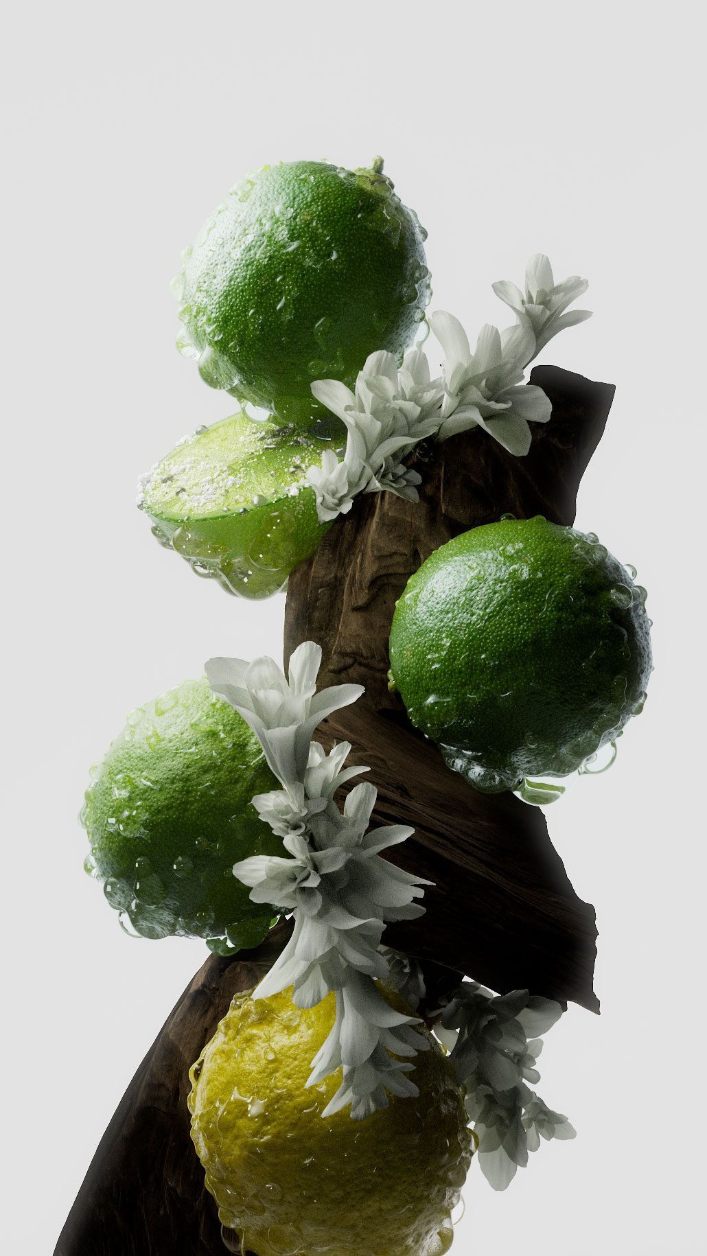 img-blog